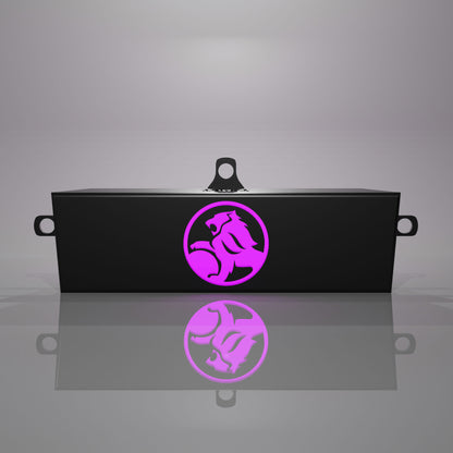 VY-VZ Commodore Custom LED Centre Fascia